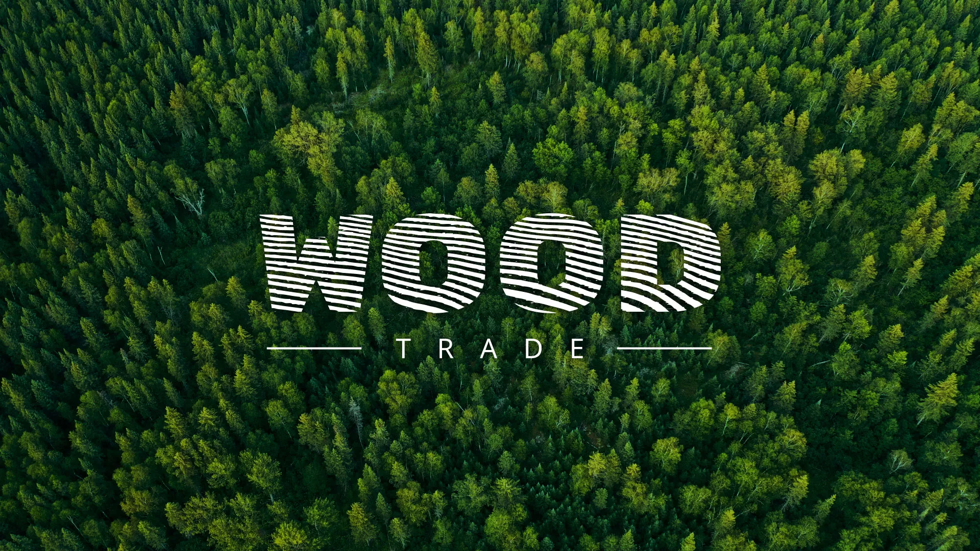 Разработка интернет-магазина компании «Wood Trade» в Борзе